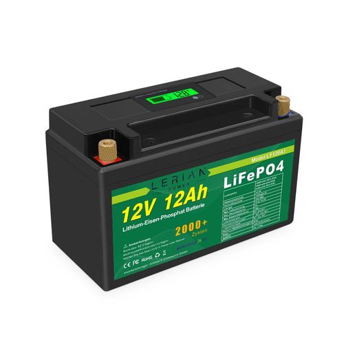 LiFePO4 Akku 12V 12Ah 15A Lithium-Eisen-Phosphat Batterie für Camping Boot Solar