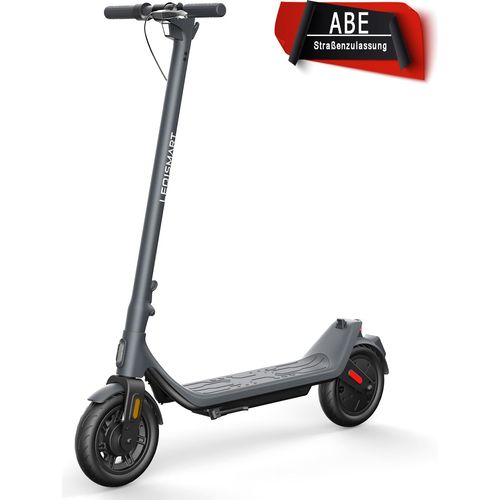 LINGDA Faltbarer E-Scooter mit ABE StraBenzulassung, (10 Zoll,7.8Ah, 36V350W,duales Bremssystem, LED-Display)