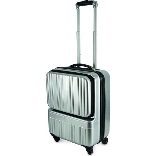 Professioneller Trolley CEO