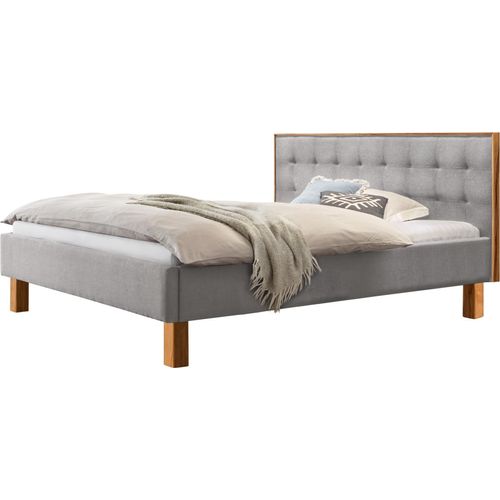 HASENA Polsterbett Noah 25 Wildbuche | Stoff grau 160x200