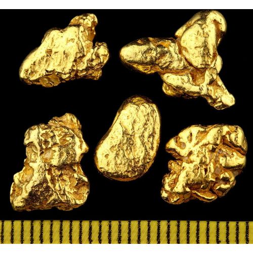 1 Gramm echte XXL Goldnuggets aus Alaska + Echtheitszertifikat 20-23 Karat