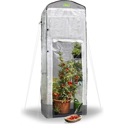 BioGreen Überwinterungszelt "Patioflora 120/XL" für Pflanzen L 120 x B 120 x H 300 cm