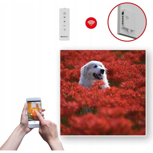 Termofol TF-SWT Infrarot Wandheizung - Wandheizung Elektrisch - Hund - 350W - 60x60 cm