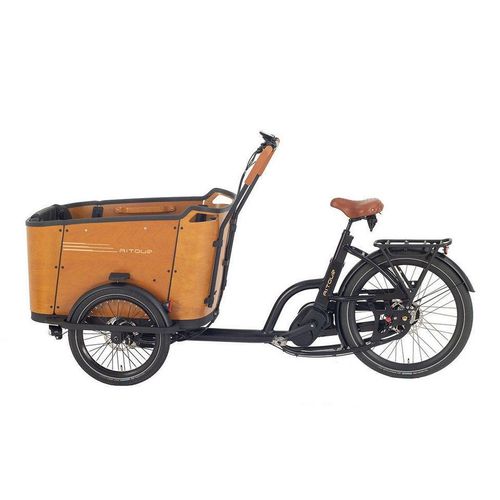 E-Lastenräder Aitour Family C Lastenrad 26 Zoll Unisex-Rad,13.4 Ah, 250W Mittelmotor