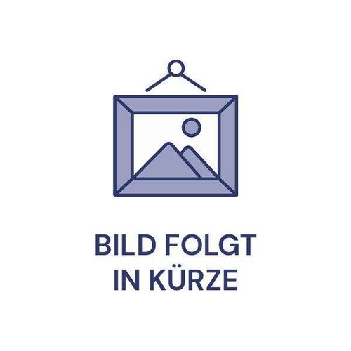 Dyson Akku-Staubsauger V12