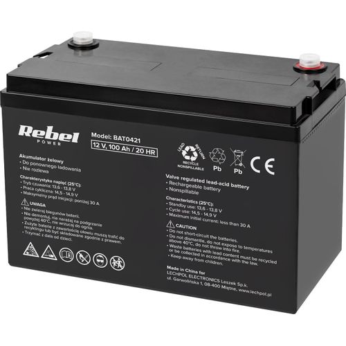 VIPOW akumulator elowy 12 V 100 Ah