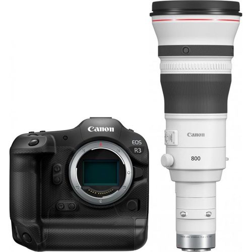 Canon EOS R3 + RF 800mm f5,6 L IS USM