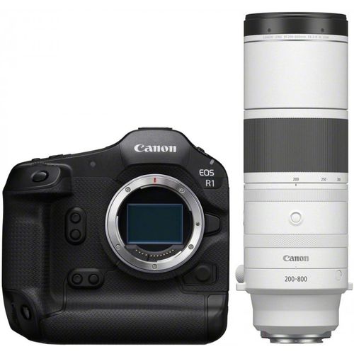 Canon EOS R1 + RF 200-800mm f6,3-9 IS USM