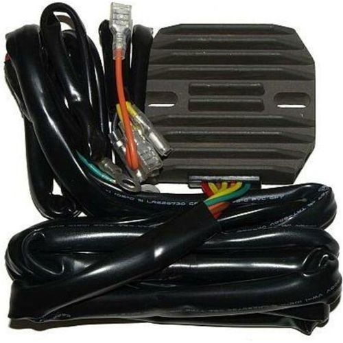 ElectroSport Laderegler ESR 450 für V 50 II R 100 S - 48 KW