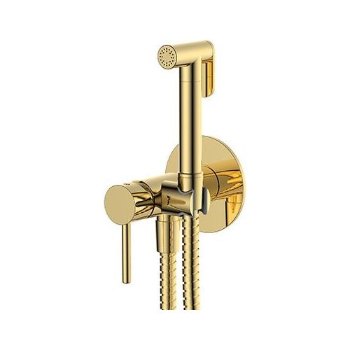 Bidet Unterputz-Set, mit Handbrause, Bidet-Brause Schlauch Griff, golden, Bidet-Zubehör Y