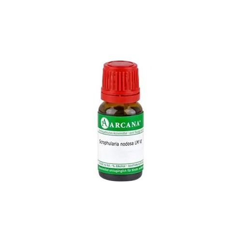 Scrophularia Nodosa Lm 6 10 ML