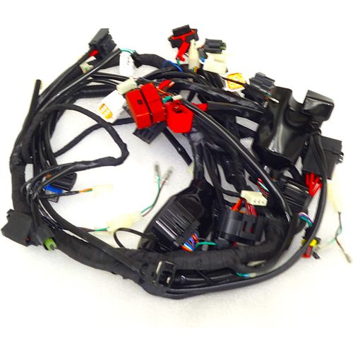 Elektroinstallation Xplore 125