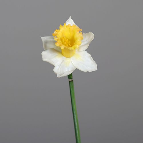 Kunstblume Narzisse