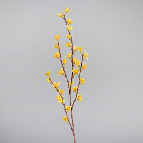 Kunstblume Forsythie