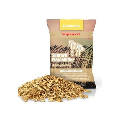 Supravit Hafer ganz - Frischer gelber Futterhafer natürlich & ungeschält für Pferd und Pony | staubfrei & riecht gut I Hafer Energie & Kraftfutter Pferd 20 kg