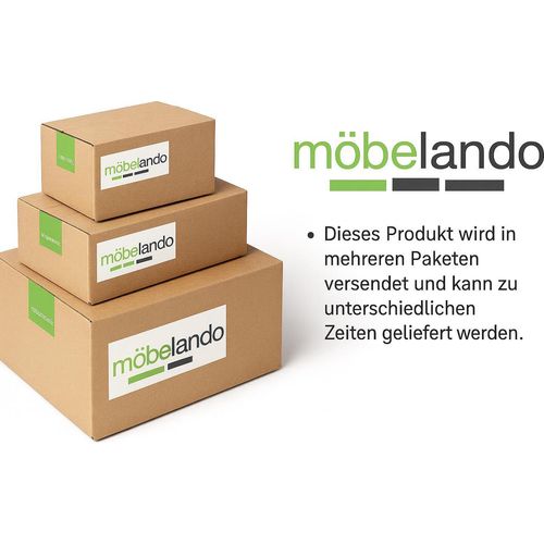 möbelando Schreibtischkombination Schreibtisch Eckschreibtisch Arbeitstisch Carmen (Weiß)