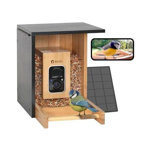 Netvue Birdfy Bird Feeder -Kamera, solarbetriebene, automatische Erkennungsvögel rechtzeitige Benachrichtigung, leistungsstarke KI -Erkennung, Bambush