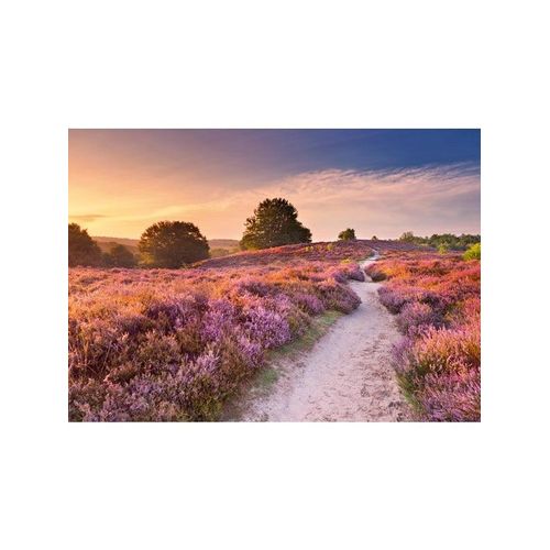 Ravensburger Pink Pathway (1000)