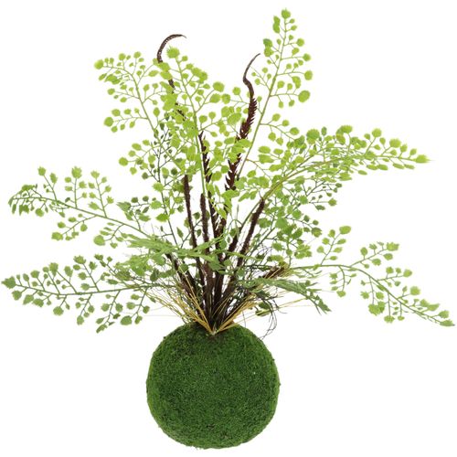 Kunstpflanze I.GE.A. "Farnbusch auf Mooskugel", grün, B:28cm H:33cm L:28cm, Kunststoff, Kunstpflanzen, Kunstpflanze, Künstliche Pflanze Waldfarn