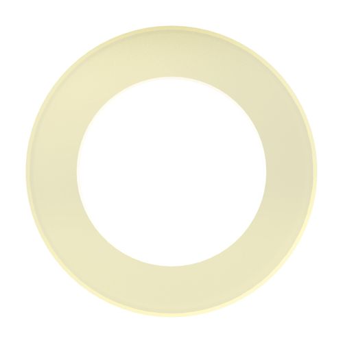 Riegler Anschlussdichtung aus PA, für Flaschendruckregler 300 bar (444.4.942)