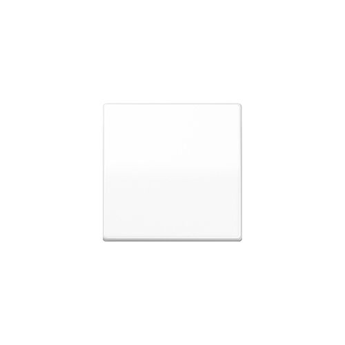 Jung Steuertaste Standard AS 1700 WW (AS1700WW)