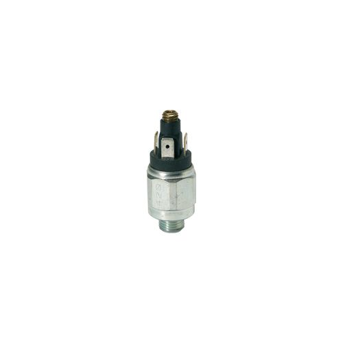 Riegler Druckschalter, Wechselkontakt, Stahl ver., 42 V, G 1/4, 10-70 bar (DS 4036)