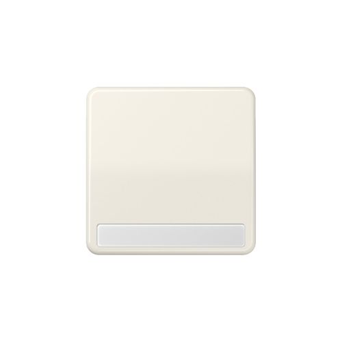 Jung Wippe Schriftfeld ws für Taster CD 590 NA (CD590NA)