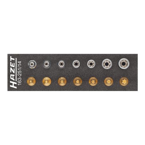 HAZET Werkzeug-Satz, TX 163-251/14 Vierkant hohl 6,3 mm (1/4 Zoll) Außen TX Profil, Innen TX Profil E 4 - E 11 T 10 - T 40 Anzahl Werkzeuge: 14)