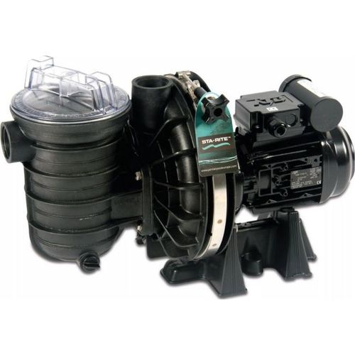 Sta-Rite Schwimmbadpumpe P-STR-071 0,55 kW 230 V