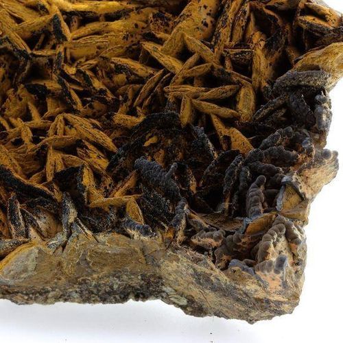 Pyrolusit und Goethit auf Siderit 2140,1 Karat