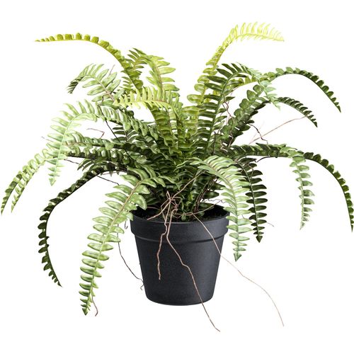 Kunstpflanze CREATIV GREEN "Waldfarn", grün, H:35cm Ø:50cm, Kunstpflanzen, Kunstpflanze, mit Wurzeln