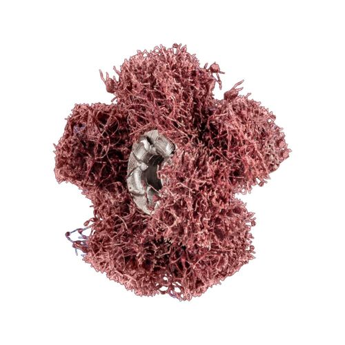 Pferd POLINOX Schleifstern T 25-2 A 80 (44698254)