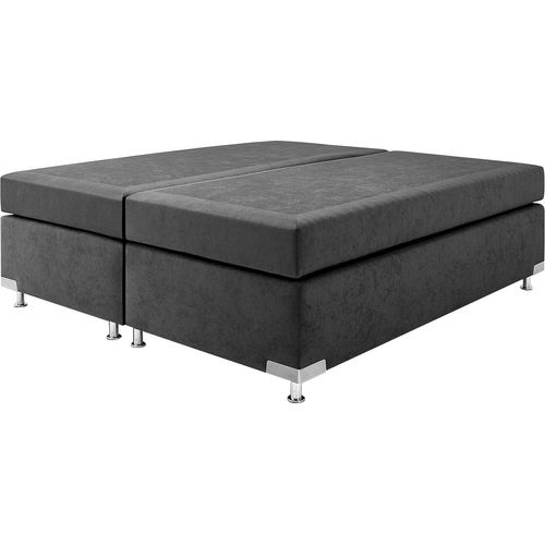 Boxspringbett "Holland", grau (anthrazit), B:202cm L:201cm, Microvelours (100% Polyester), WESTFALIA SCHLAFKOMFORT, Komplettbetten, Boxspringbett, ohne Kopfteil, frei im Raum stellbar