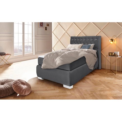 Boxspringbett LEONIQUE "Rumba", grau (dunkelgrau), B:100cm L:213cm, Samtoptik (100% Polyester), Komplettbetten, Boxspringbett, Taschenfederkern-Matratze in Härtegrad 3, in 4 Breiten, incl. Topper