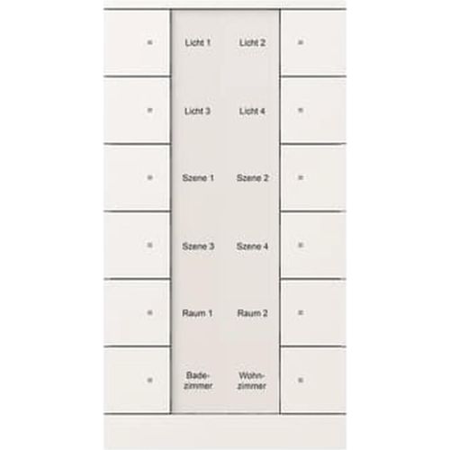 Busch-Jaeger Bedienelement 12-fach SB/U12.0.11-84, 1 Stk.