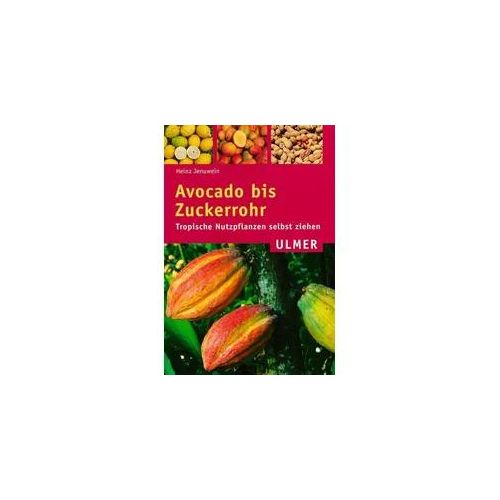 Avocado bis Zuckerrohr