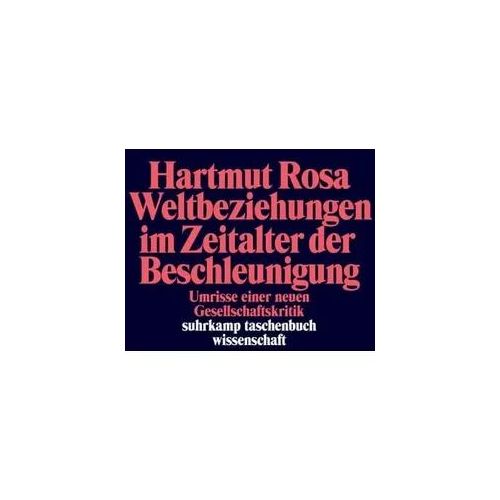 Weltbeziehungen im Zeitalter der Beschleunigung