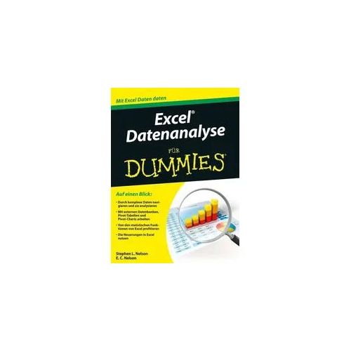 Excel Datenanalyse für Dummies