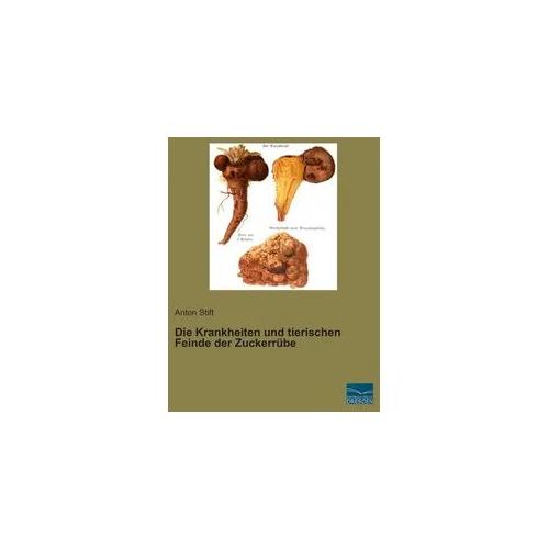 Die Krankheiten und tierischen Feinde der Zuckerrübe