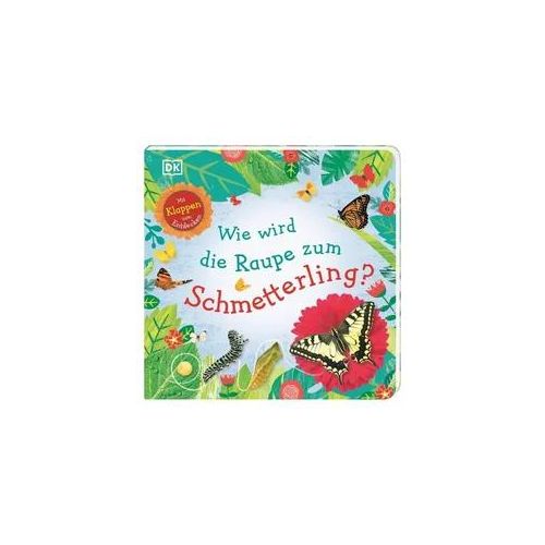 Wie wird die Raupe zum Schmetterling?