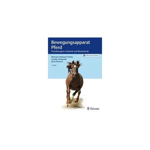 Bewegungsapparat Pferd