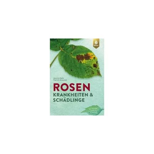Rosenkrankheiten und Schädlinge
