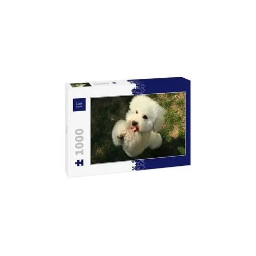 Lais Puzzle Pudel 1000 Teile