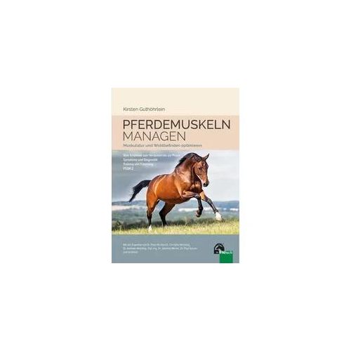 Pferdemuskeln managen