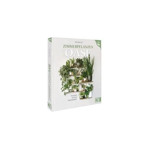 Zimmerpflanzen Oase