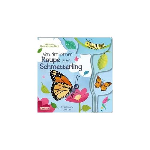 Von der kleinen Raupe zum Schmetterling