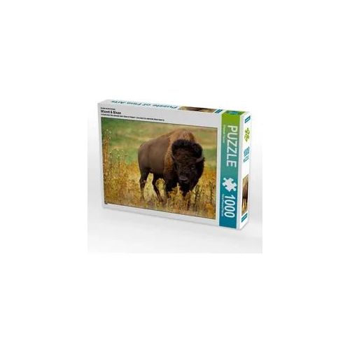 Ein Motiv aus dem Kalender Wisent & Bison (Puzzle)