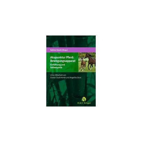 Akupunktur Pferd: Bewegungsapparat