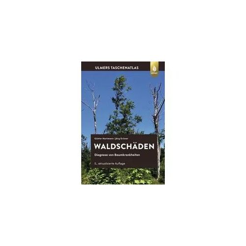 Waldschäden