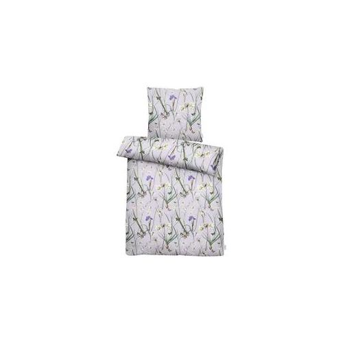 Bettwäsche APELT "Milly Gots", lila (mauve), B/L: 135cm x 200cm, 1 Stk., 1 Stk., Satin (Bio-Baumwolle), B/L: 80cm x 80cm, Satin (Bio-Baumwolle), Obermaterial: 100% Baumwolle, Bettwäsche, Bettwäsche, modisches Blumenallover
